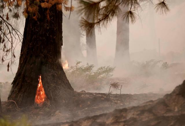 Incendio de California amenaza 17.000 edificios a pesar de mejorar el clima