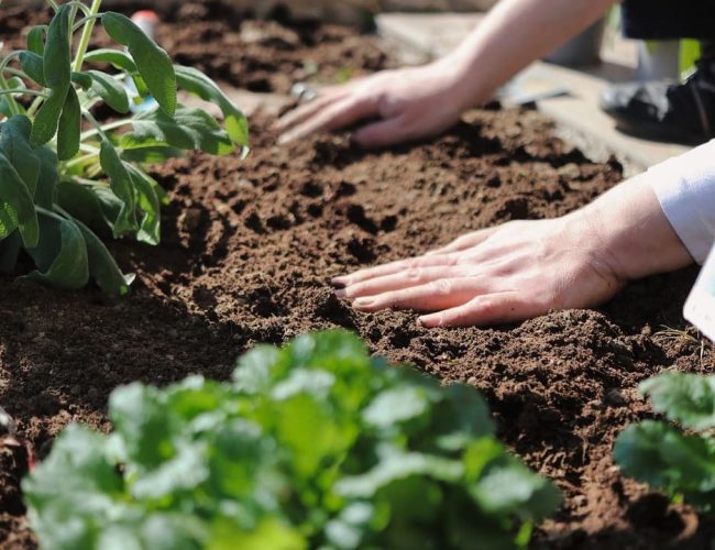 Ficohsa impulsa la transformación social y ambiental